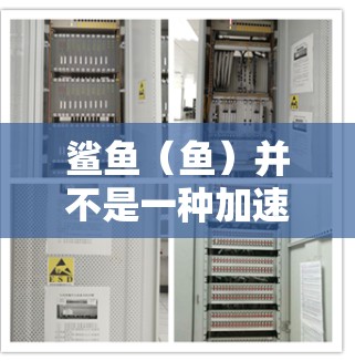 鲨鱼(鱼)并不是一种加速器,但如果你指的是鱼的相关加速工具,那么鲨鱼加速器通常指的是专门针对鱼类捕捞效率的加速工具。你可以使用一些鱼渔类加速器来提升你的捕捞速度。以下是一些推荐的鱼渔类加速器 鲨鱼(鱼)并不是一种加速器,但如果你指的是鱼的相关加速工具,那么鲨鱼加速器通常指的是专门针对鱼类捕捞效率的加速工具。你可以使用一些鱼渔类加速器来提升你的捕捞速度。以下是一些推荐的鱼渔类加速器