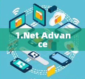 1.Net Advance 1.Net Advance