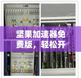 坚果加速器免费版，轻松开启高效工作人生