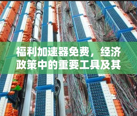 福利加速器免费，经济政策中的重要工具及其影响
