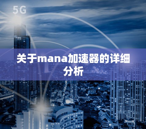 关于mana加速器的详细分析