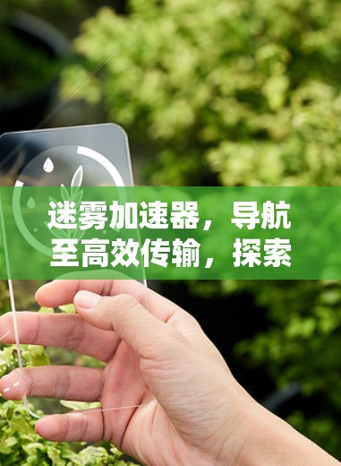 迷雾加速器，导航至高效传输，探索网络新图景