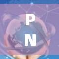 PNV可能是一个缩写，具体含义需要根据上下文来确定。以下是一些可能的解释及其对应的加速器类型