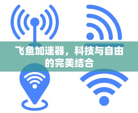 飞鱼加速器，科技与自由的完美结合