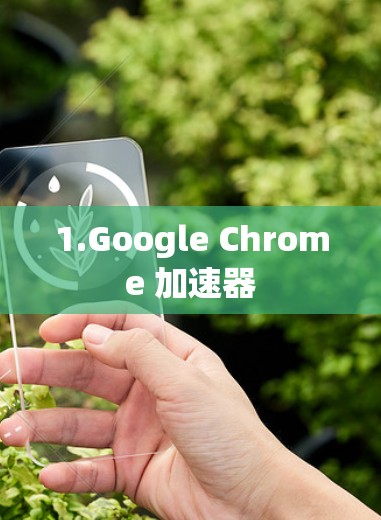 1.Google Chrome 加速器