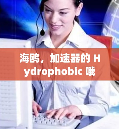 海鸥，加速器的 Hydrophobic 哦