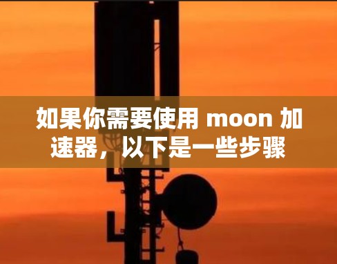 如果你需要使用 moon 加速器，以下是一些步骤