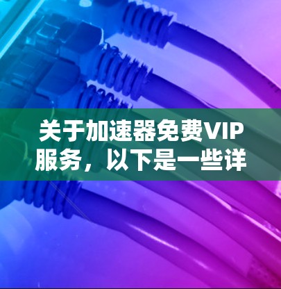 关于加速器免费VIP服务，以下是一些详细的解答