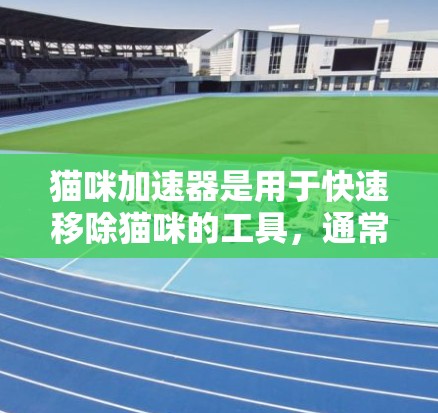 猫咪加速器是用于快速移除猫咪的工具，通常分为免费版和付费版。以下是一些常见猫咪加速器的类型及其特点