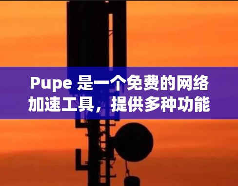 Pupe 是一个免费的网络加速工具，提供多种功能，如模拟网络、下载加速、视频加速等，帮助用户更快地完成网络和文件下载。以下是对 Pupe的详细说明