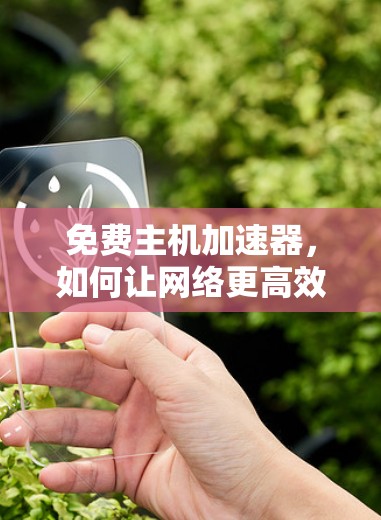 免费主机加速器，如何让网络更高效，更快捷