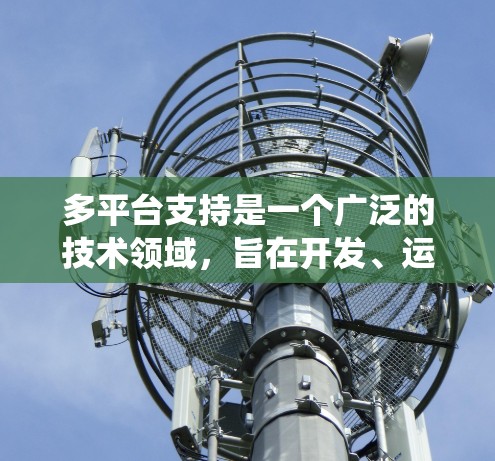 多平台支持是一个广泛的技术领域，旨在开发、运行和维护多个操作系统上的应用程序。以下是关于多平台支持的详细总结