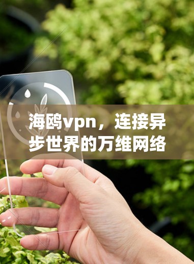 海鸥vpn，连接异步世界的万维网络
