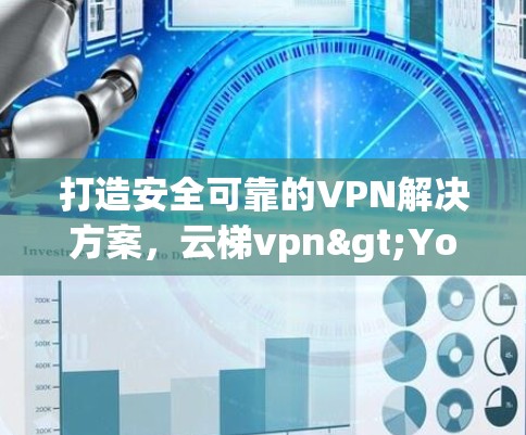 打造安全可靠的VPN解决方案，云梯vpn>Your理想选择