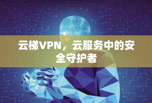 云梯VPN，云服务中的安全守护者