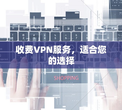 收费VPN服务，适合您的选择