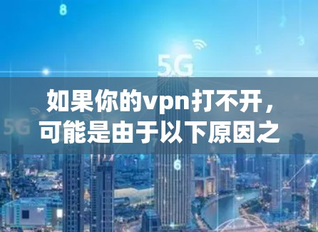 如果你的vpn打不开，可能是由于以下原因之一