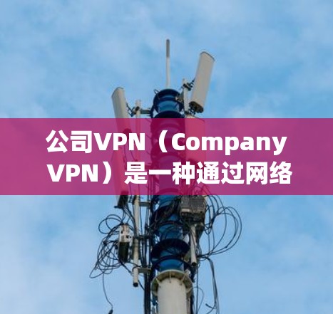 公司VPN（Company VPN）是一种通过网络加密和防火墙技术，保护公司内部数据和员工信息的安全的网络服务。它通常用于公司内部的通信、文件共享、数据传输等场景，以确保数据的安全和隐私