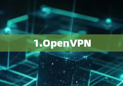 1.OpenVPN
