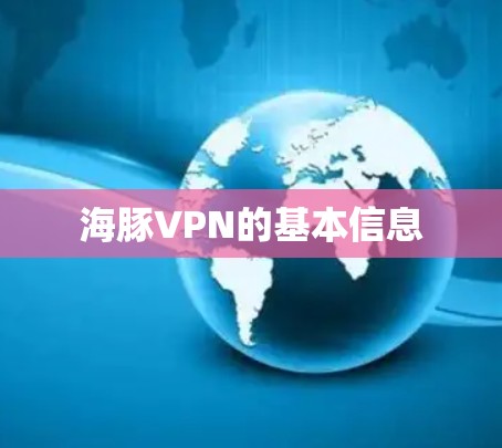 海豚VPN的基本信息