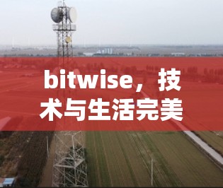 bitwise，技术与生活完美融合