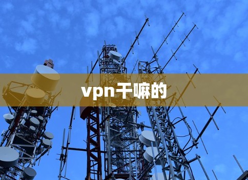 vpn干嘛的