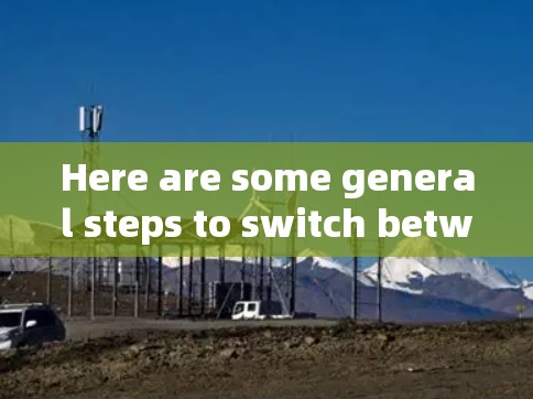 Here are some general steps to switch between VPNs:
