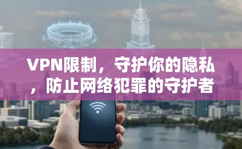 VPN限制，守护你的隐私，防止网络犯罪的守护者