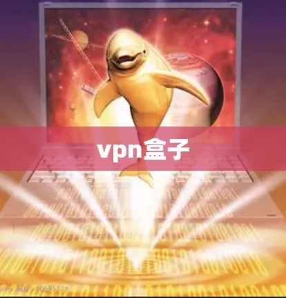 vpn盒子
