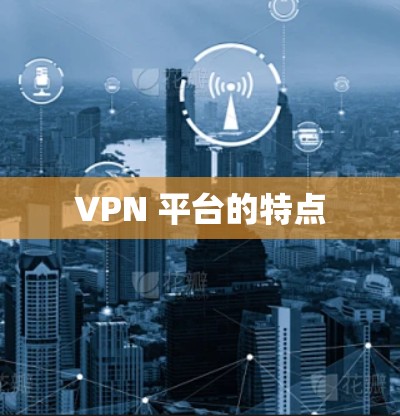 VPN 平台的特点
