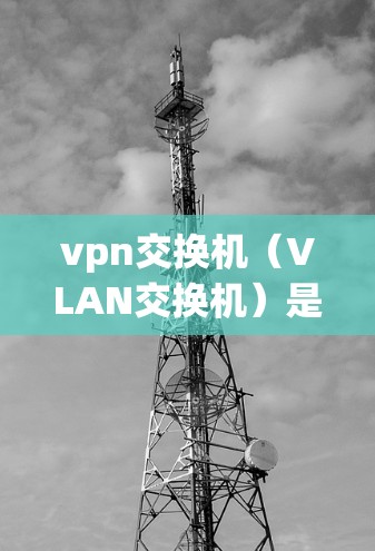 vpn交换机（VLAN交换机）是用于VPN（虚拟专用网）传输和管理的交换设备。它能够将用户机的IP地址与 VPN 局域网的IP地址进行分离，确保数据在用户机和 VPN 局域网之间安全传输