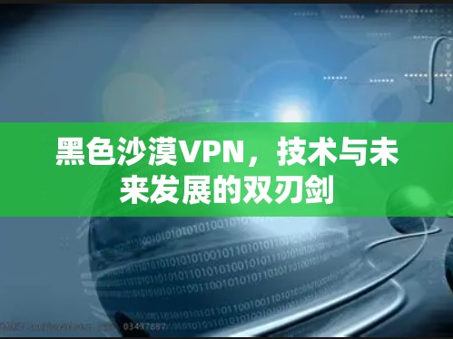 黑色沙漠VPN，技术与未来发展的双刃剑