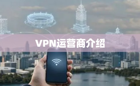 VPN运营商介绍