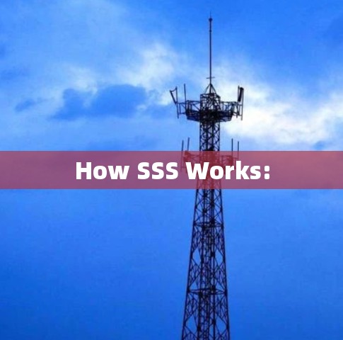 How SSS Works: