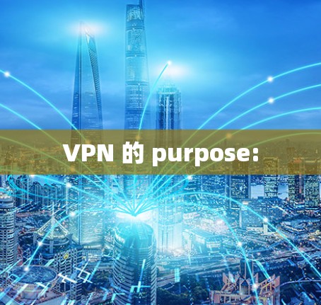 VPN 的 purpose: