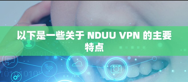 以下是一些关于 NDUU VPN 的主要特点