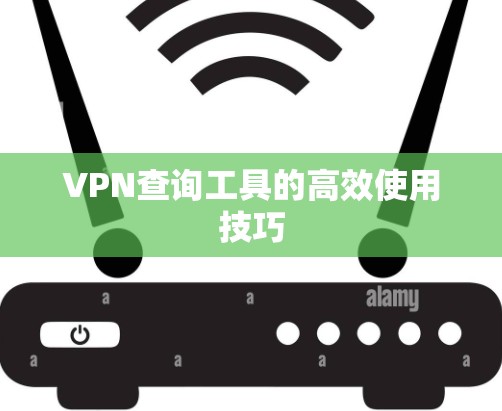 VPN查询工具的高效使用技巧