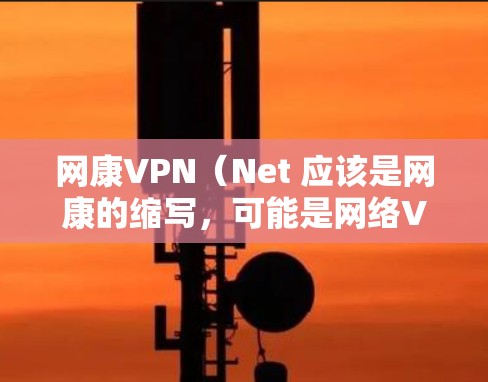 网康VPN（Net 应该是网康的缩写，可能是网络VPN或网康 VPN）但并没有提供具体的官方信息。如果你指的是某个特定的网络VPN服务或品牌，请提供更多背景信息，以便我更好地帮助你
