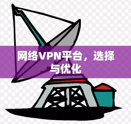 网络VPN平台，选择与优化