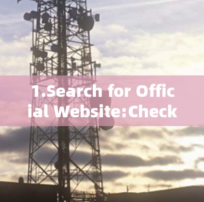 1.Search for Official Website:Check if Deutschevpn has an official website by searching online.