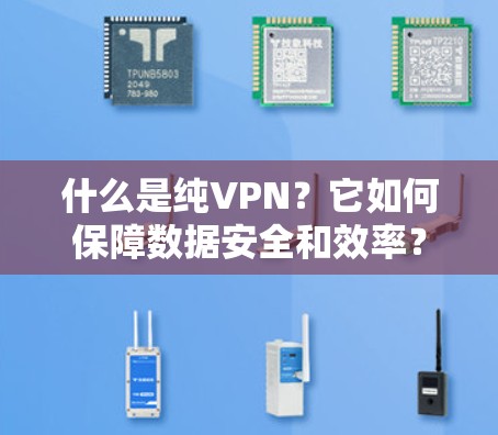 什么是纯VPN？它如何保障数据安全和效率？