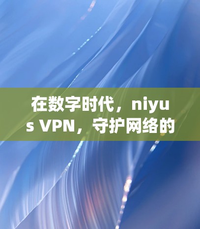 在数字时代，niyus VPN，守护网络的另一面