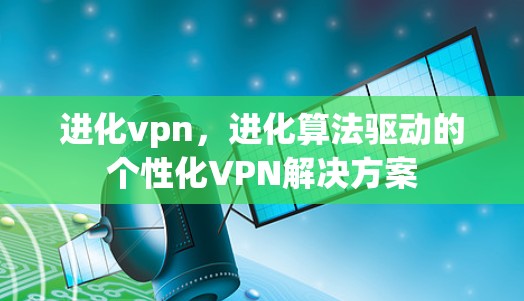 进化vpn，进化算法驱动的个性化VPN解决方案