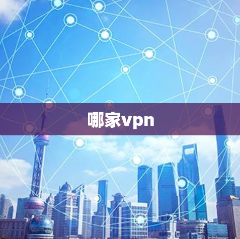 哪家vpn