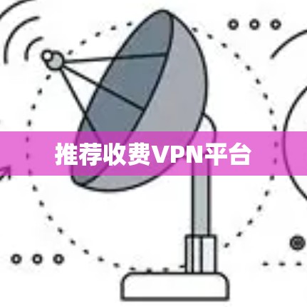 推荐收费VPN平台