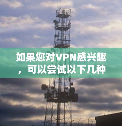 如果您对VPN感兴趣，可以尝试以下几种可靠的VPN服务
