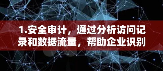 1.安全审计，通过分析访问记录和数据流量，帮助企业识别潜在的访问威胁和安全漏洞