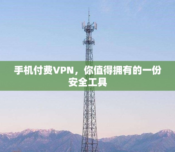 手机付费VPN，你值得拥有的一份安全工具