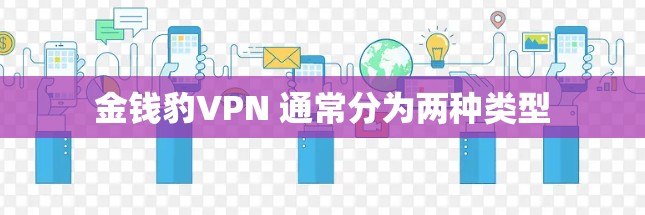 金钱豹VPN 通常分为两种类型