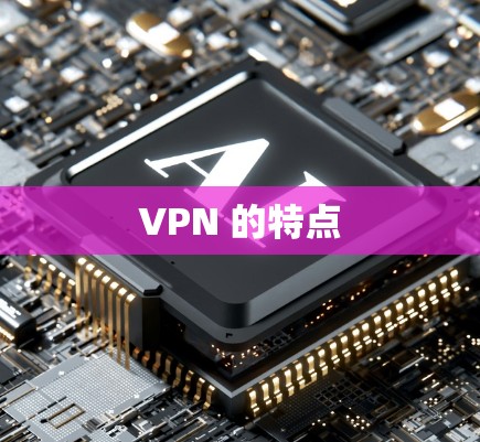 VPN 的特点